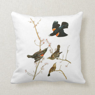 Almofada Pássaros de John Audubon do melro do pântano de