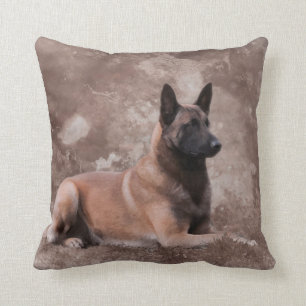 Almofada Pastor belga de Malinois - Mechelaar