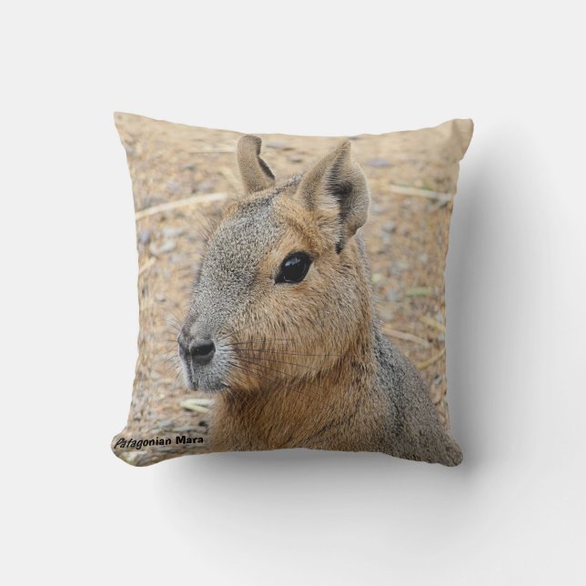 ALMOFADA PATAGONIAN MARA WILD ANIMAL (Frente)