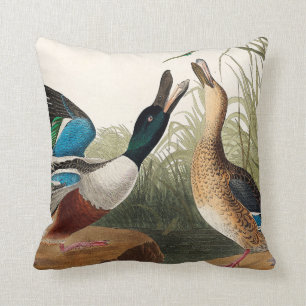 Almofada Patos-de-gato de aves da América (Audubon)