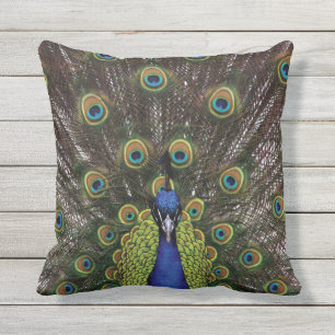 Almofada Pavão