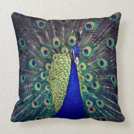 Almofada Pavão Azul Cobalto