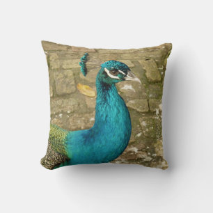 Almofada Pavão Belo Pássaro Azul Fotografia