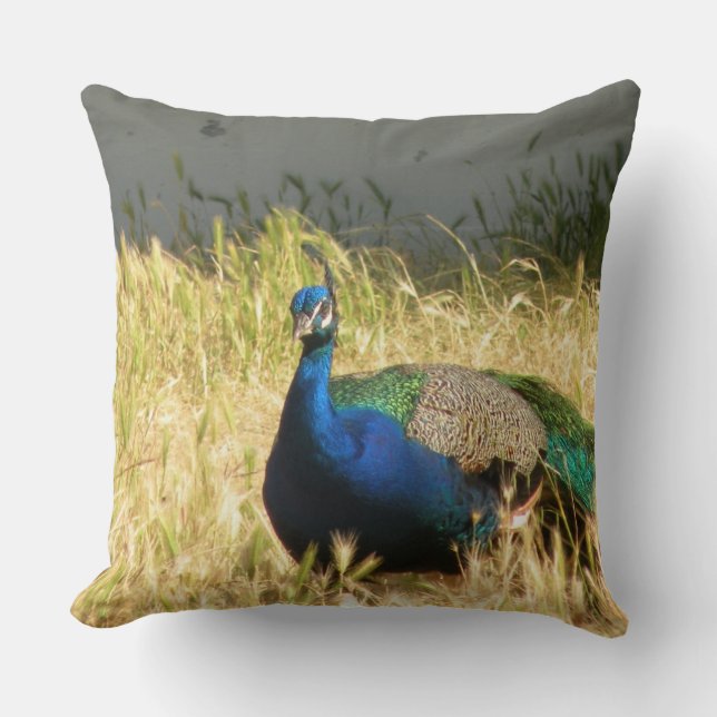 Almofada Peacock (Frente)