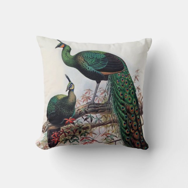 Almofada Peacock, pafowl verde pavo muticus 1872 ... (Frente)