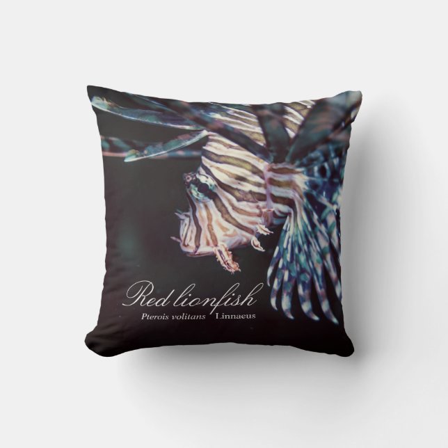Almofada Peixe-leão-vermelho (Pterois volitans, Linnaeus, 1 (Frente)