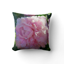 Peônias cor-de-rosa em meu jardim - natureza das