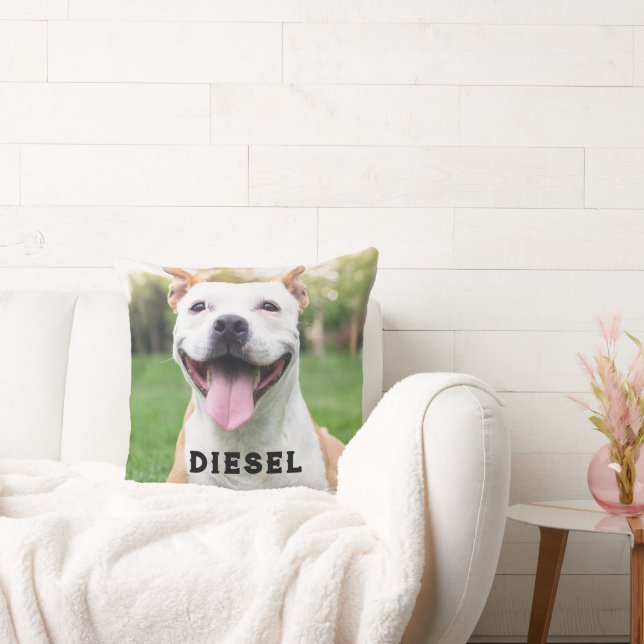 Almofada Perda de modelo Cão ou de Gato Foto (Sofá)