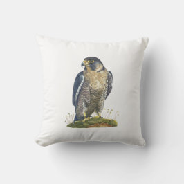 Almofada Peregrina em Greve de Falcão