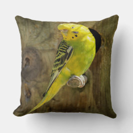 Almofada Periquito Amarelo bonito