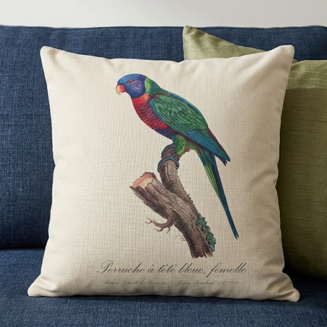 Almofada Periquito-arco-íris fêmea, Trichoglossus moluccanu (Perruche a tete bleue, femelle / Rainbow lorikeet, female. Throw Pillow)