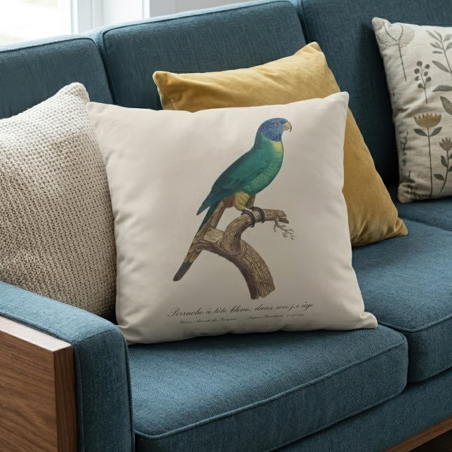 Almofada Periquito-arco-íris jovem Trichoglossus moluccanus (Perruche a tete bleue / Rainbow lorikeet, juvenile. Throw Pillow)