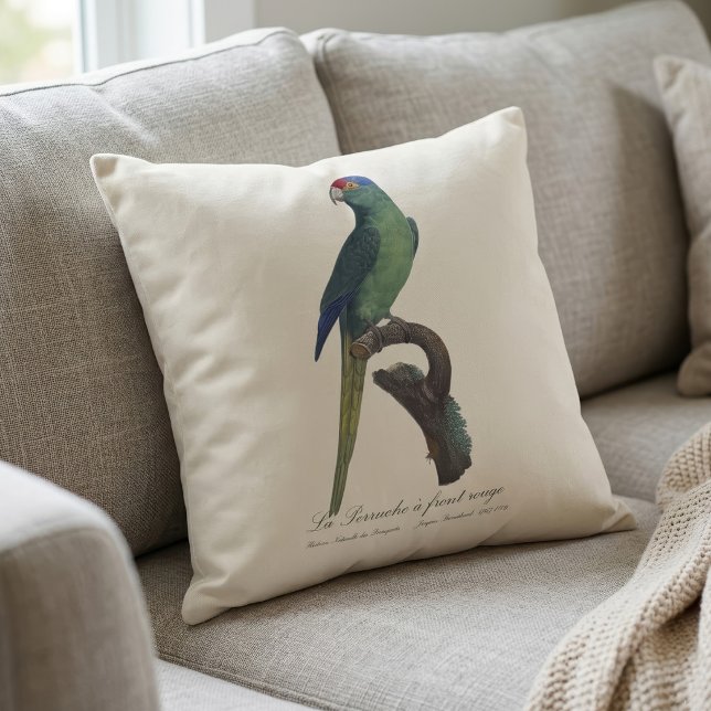 Almofada Periquito-fronte-laranja, Eupsittula Canicularis (Orange-Fronted Parakeet, Eupsittula Canicularis. Throw Pillow)
