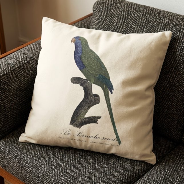 Almofada Periquito-monge (Monk Parakeet or Monk Parrot, Myiopsitta Monachus. Throw Pillow)