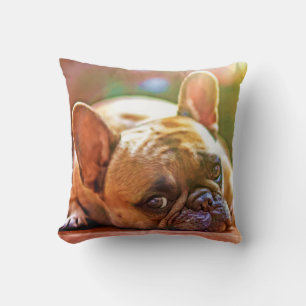 Almofada Personalize Sua Foto Pet Terra Cotta Monograma Ini