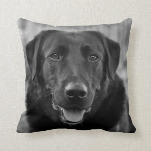 Almofada Pet Dog de Foto do Labrador Negro 