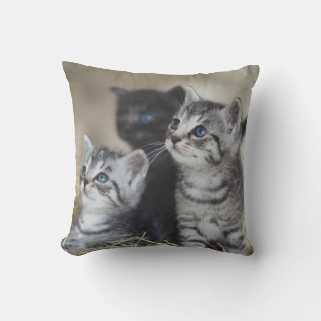 Almofada Pet Personalizado (Frente)
