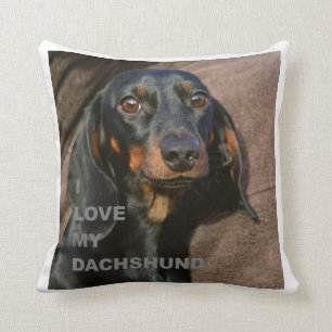 Almofada PIC dachshund-preto e tan de w do amor