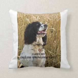 Almofada PIC de w do bwlove do spaniel de springer inglês