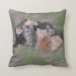 Almofada Pilha dos gatinhos