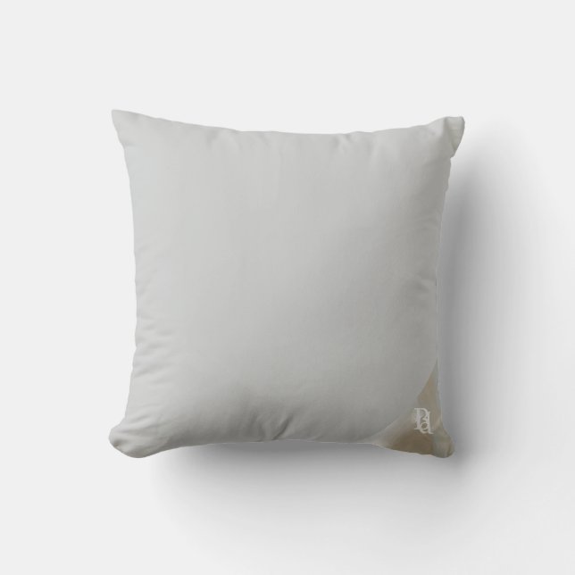Almofada Pillow Abstract Interior Trend Sandy Tornado (Frente)