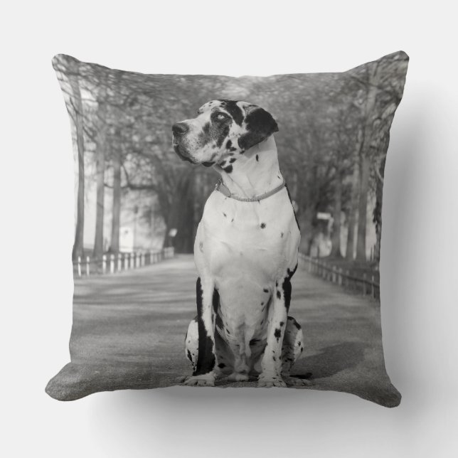 Almofada Pillow Great Dane (Frente)