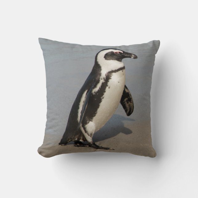 Almofada Pinguim Africano Caminhando (Frente)