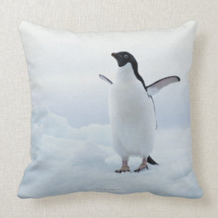 Almofada Pinguim de Adelie, a Antártica