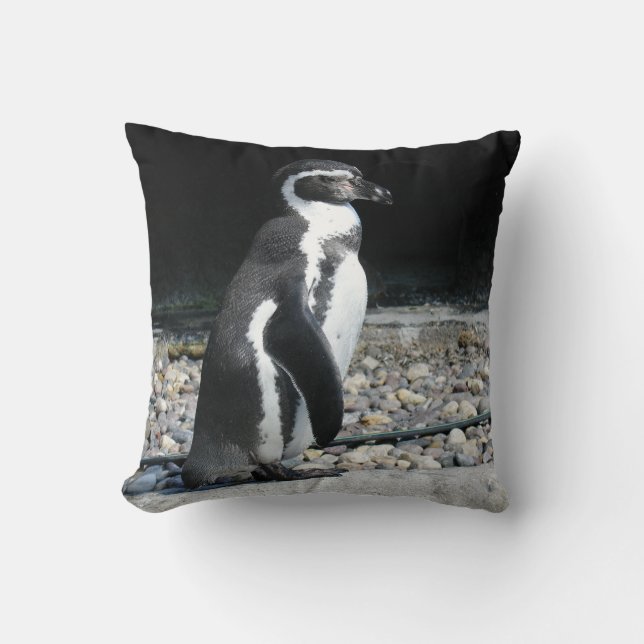 Almofada Pinguim Solitário (Frente)