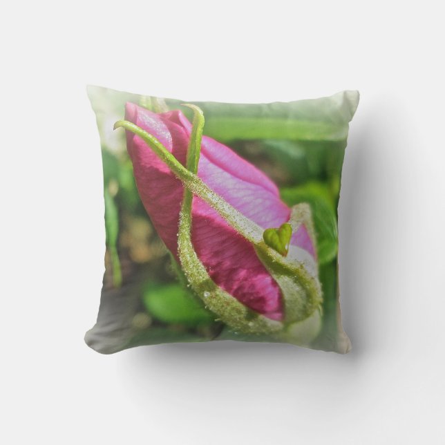 Almofada Pink Beach Rosa Rosebud (Frente)