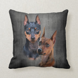 Almofada Pinscher diminuto