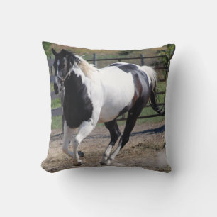 Almofada Pintar Pinto Cavalo