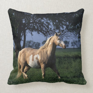 Almofada Pinte o cavalo que está 2