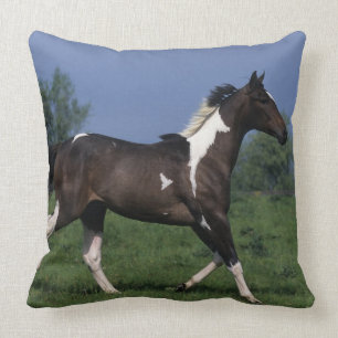 Almofada Pinte o cavalo que funciona 2