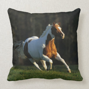 Almofada Pinte o cavalo que funciona rapidamente
