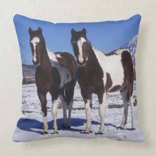 Almofada Pinte os cavalos que estão na neve
