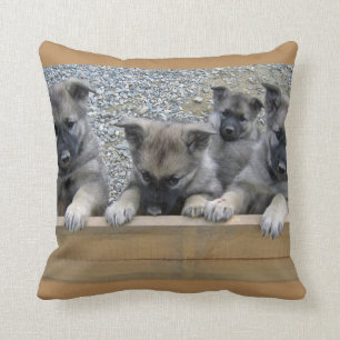 Almofada Pintos do Elkhound Noruegueses