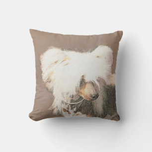 Almofada Pintura Chinesa Sem Cabelo Penteada Original Dog A