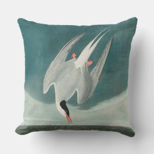 Almofada Pintura de aves selvagens do Ártico Tern Audubon