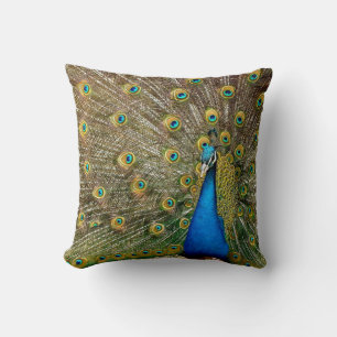 Almofada Pintura de Trabalho de arte de Peacock Pattern