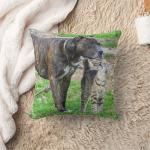 Almofada Pit Bull e Cat