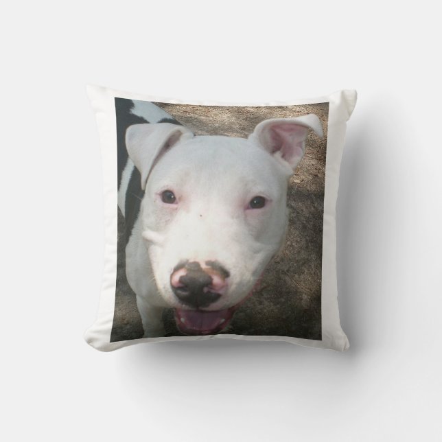 Almofada pit bull terrier americano (Frente)