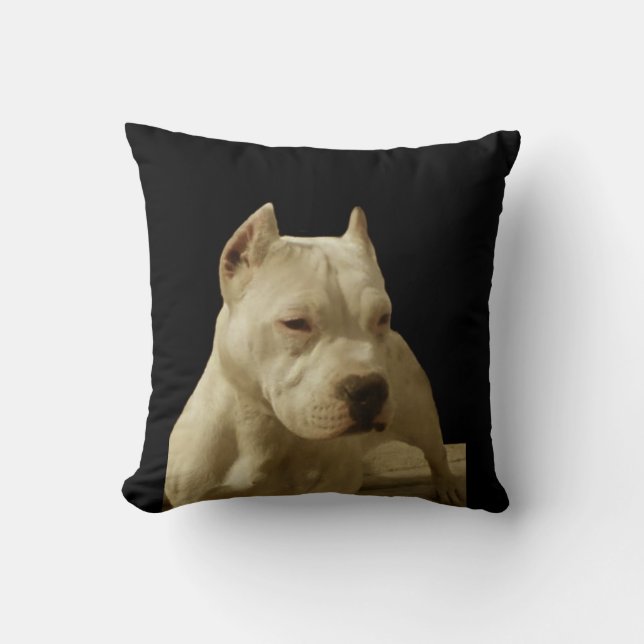 Almofada Pitbull branco Terrier (Frente)
