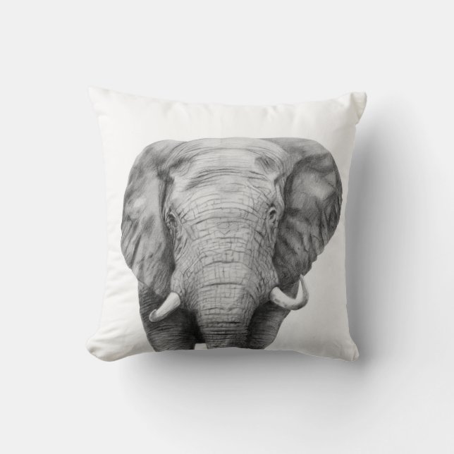 Almofada Plano de backup IV (Frente)