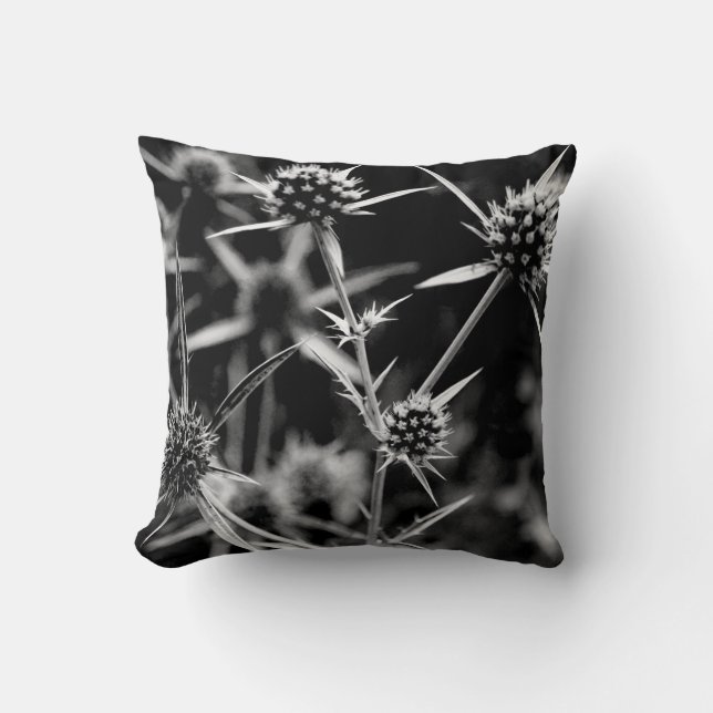 Almofada planta (Frente)