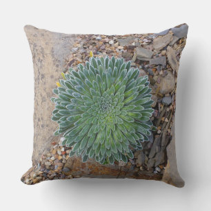 Almofada Planta de deserto do Succulent