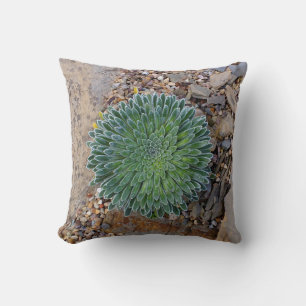 Almofada Planta de deserto do Succulent