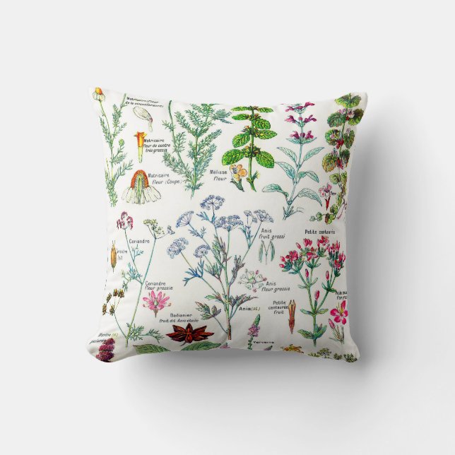 Almofada Plantas botânicas das Ilustrações-Larousse (Frente)