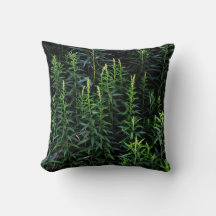 Plantas Desconhecidas Humor Escuro