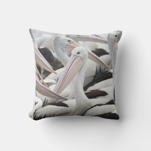 Almofada Pod de Pelicanos